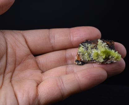Lustrous Apple Green Pyromorphite Crystal - Daoping Mine, China - Rare - 14.4 grams