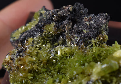 Lustrous Apple Green Pyromorphite Crystal - Daoping Mine, China - Rare - 34 grams