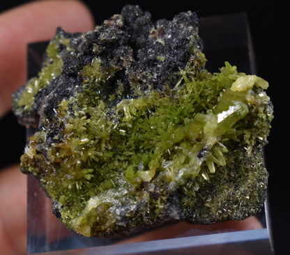 Lustrous Apple Green Pyromorphite Crystal - Daoping Mine, China - Rare - 34 grams
