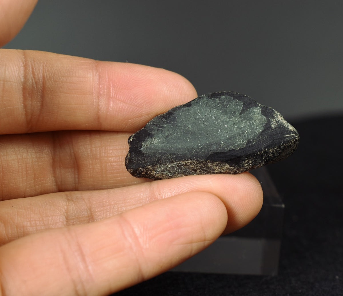 Natural Alexandrite / Chrysoberyl Rough Crystal from Brazil | Rare Colour Change Alexandrite Specimen - 1 PC - 61CT
