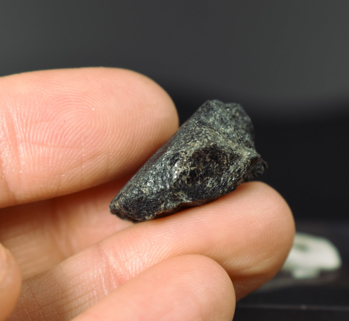Natural Alexandrite / Chrysoberyl Rough Crystal from Brazil | Rare Colour Change Alexandrite Specimen - 1 PC - 31CT