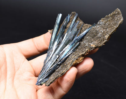 Rare Vivianite Crystal from Brazil - Deep Blue-Green Prismatic Blades, Brazilian Vivianite Specimen, Collector Mineral - 60g - #08
