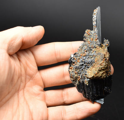 Rare Vivianite Crystal from Brazil - Deep Blue-Green Prismatic Blades, Brazilian Vivianite Specimen, Collector Mineral - 57g - #10