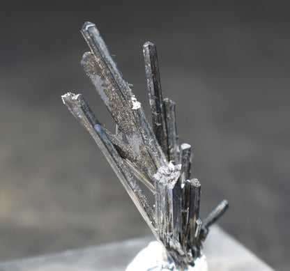 High-Grade Stibnite Crystal Cluster, Xikuangshan Mine, China | Metallic Acicular Stibnite Specimen, 4 grams, ST4