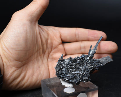 High-Grade Stibnite Crystal Cluster with Calcite, Xikuangshan Mine, China | Metallic Acicular Stibnite Specimen, ST6, 52 grams