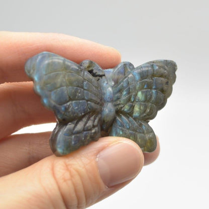 Labradorite Butterfly - 27 grams - 5cm x 3cm x 1cm