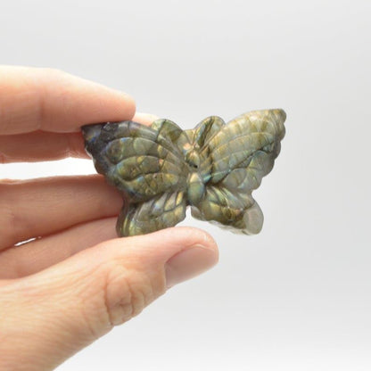 Labradorite Butterfly - 31.5 grams - 5cm x 3cm x 1cm