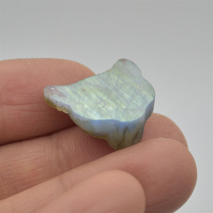 Labradorite Big Cat Head - 2cm x 2cm x 0.9cm - 4.2 grams