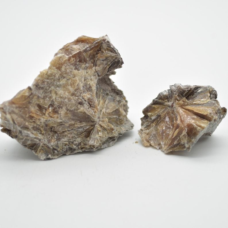 Raw Daisy Bed Gypsum Specimen Rock - 85 grams