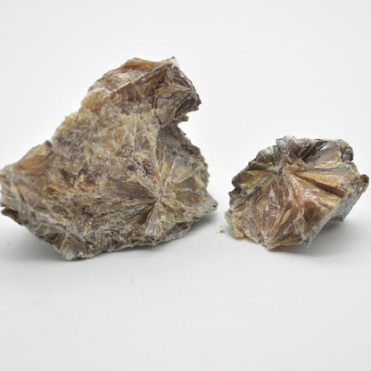 Raw Daisy Bed Gypsum Specimen Rock - 85 grams