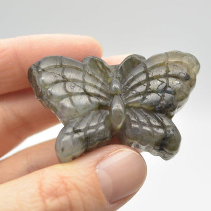 Labradorite Butterfly - 28 grams - 4.3cm x 3cm x 1cm