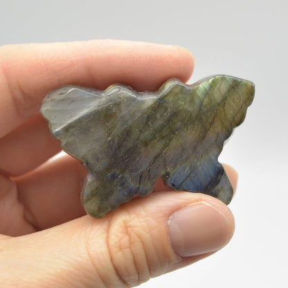 Labradorite Butterfly - 28 grams - 4.3cm x 3cm x 1cm