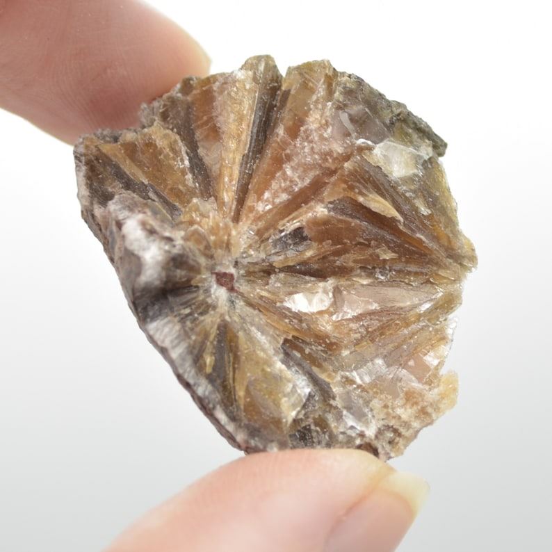 Raw Daisy Bed Gypsum Specimen Rock - 85 grams