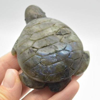 Labradorite Turtle - 7cm x 5.5cm x 2.5cm - 119 grams