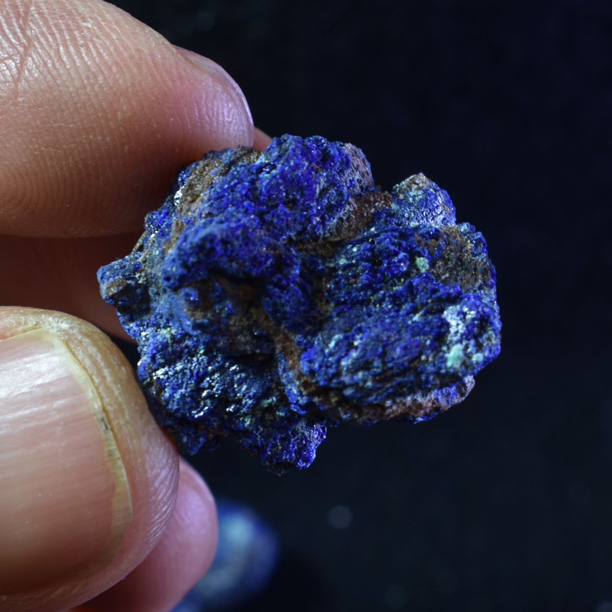 Raw Azurite Malachite Crystal Cluster Specimens from Mexico - 4 Count - 19 grams
