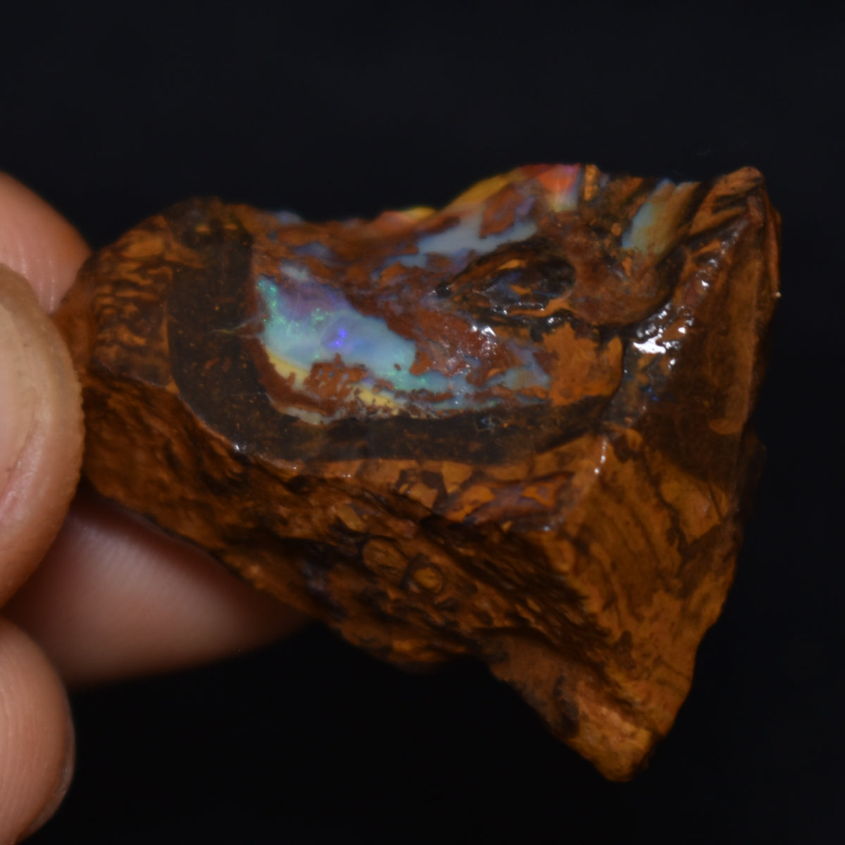 Australian Rough Boulder Opal, Raw Matrix Specimen – 53ct weight #76