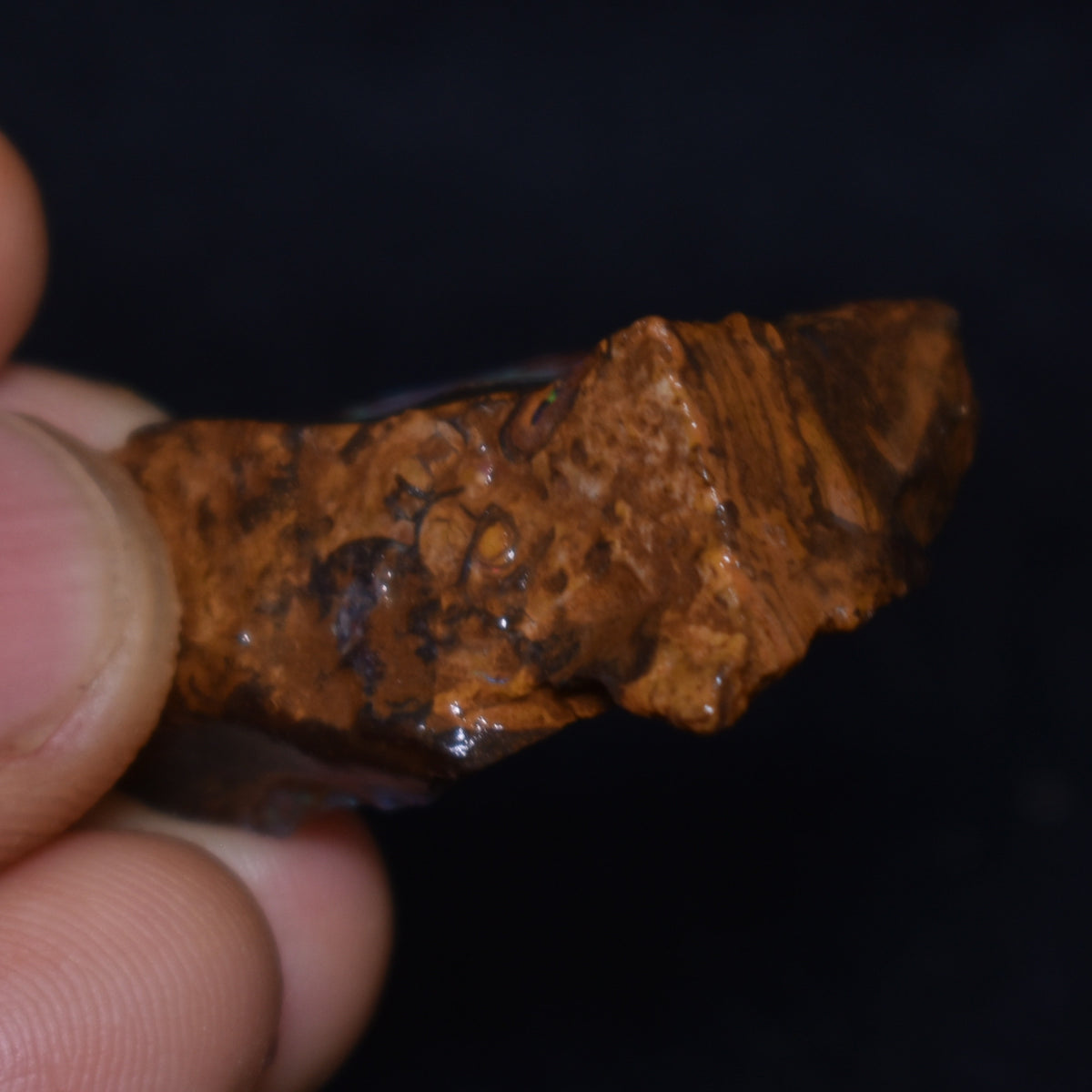 Australian Rough Boulder Opal, Raw Matrix Specimen – 53ct weight #76