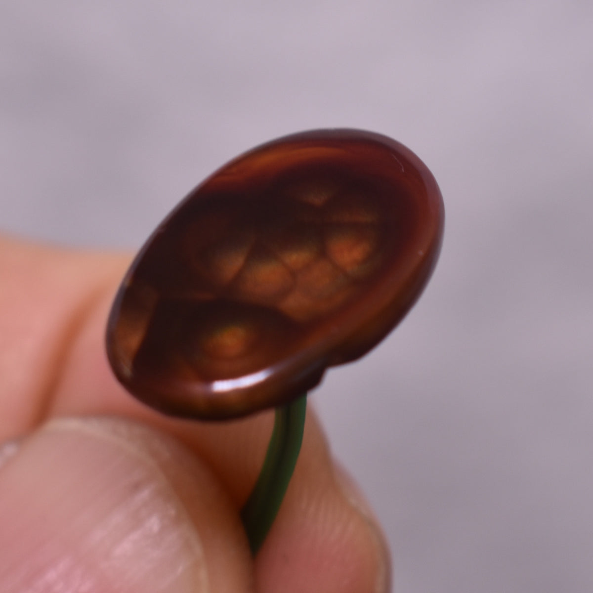 Mexican Polished Fire Agate Freeform Cabochon - 5.4ct - #02
