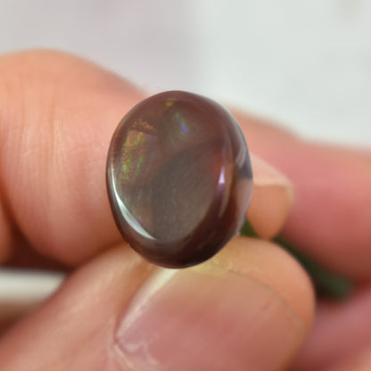 Mexican Polished Fire Agate Freeform Cabochon - 5.6ct - #16