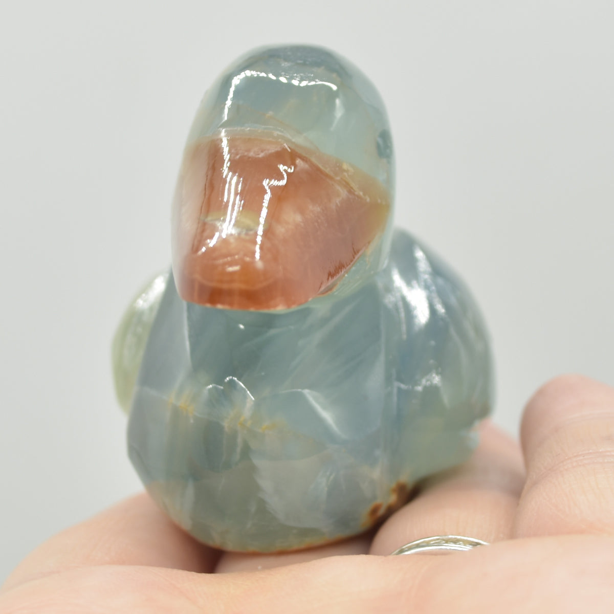 Blue Onyx (Lemurian Aquatine Calcite) Crystal Carved Duck - 136 grams #01