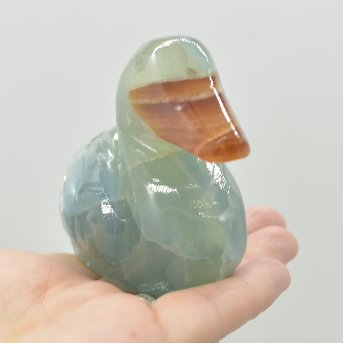 Blue Onyx (Lemurian Aquatine Calcite) Crystal Carved Duck - 237 grams #02