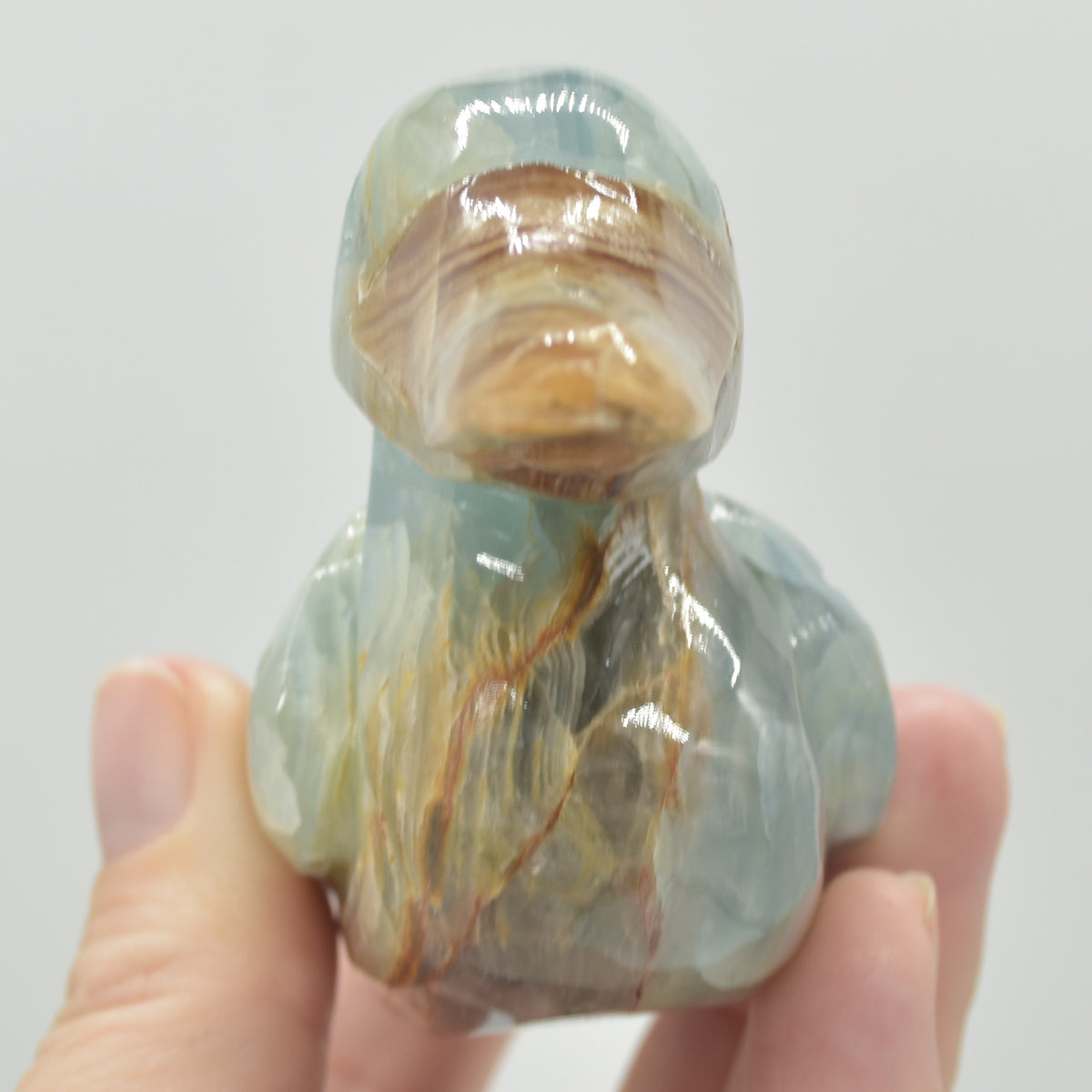 Blue Onyx (Lemurian Aquatine Calcite) Crystal Carved Duck - 191 grams #07