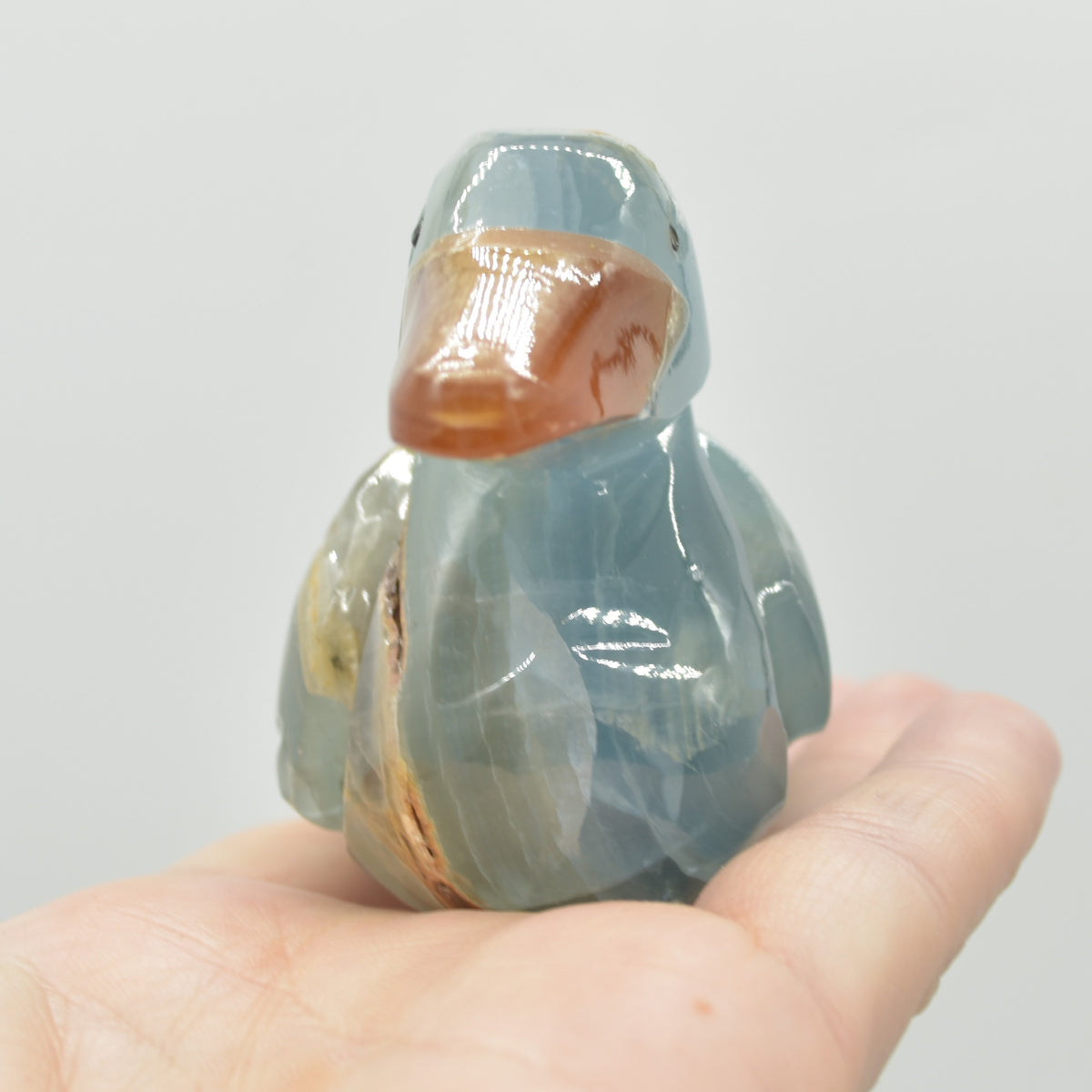 Blue Onyx (Lemurian Aquatine Calcite) Crystal Carved Duck - 194 grams #09