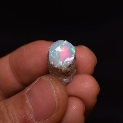 Ethiopian Welo Rough Opal Top Grade Specimen - 12ct weight #07
