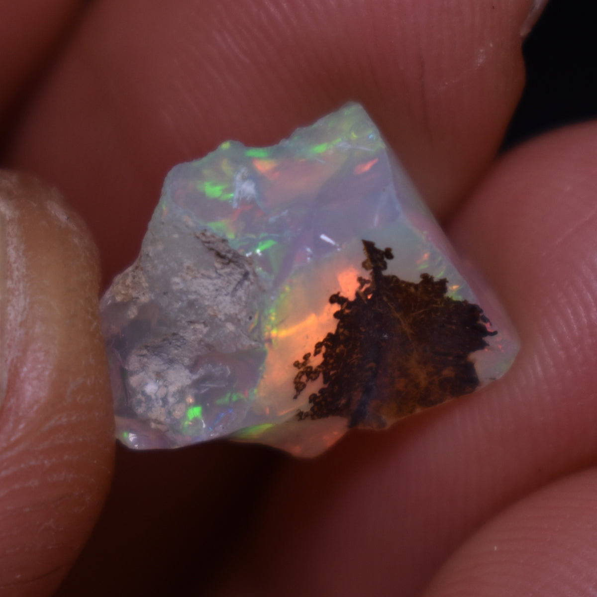 Ethiopian Welo Rough Opal Top Grade Specimen - 5.3ct weight #06