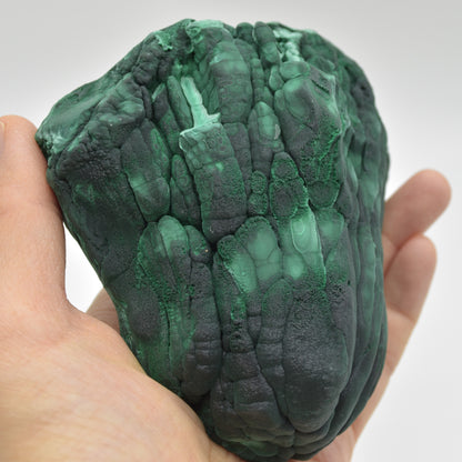 Yangchun Malachite Specimen - 719 grams - Botryoidal Malachite - Velvet Malachite - High Quality - #01