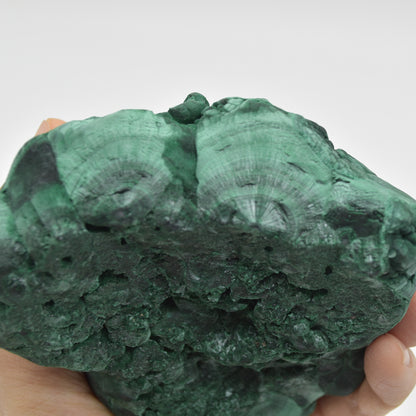 Yangchun Malachite Specimen - 719 grams - Botryoidal Malachite - Velvet Malachite - High Quality - #01