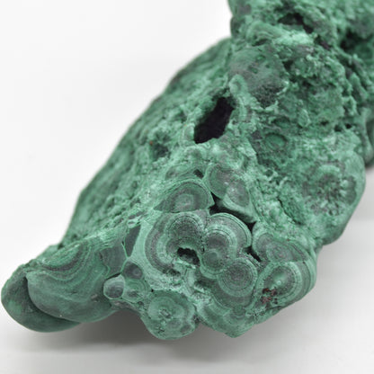 Yangchun Malachite Specimen - Botryoidal Malachite - Velvet Malachite - High Quality - 403 grams #03