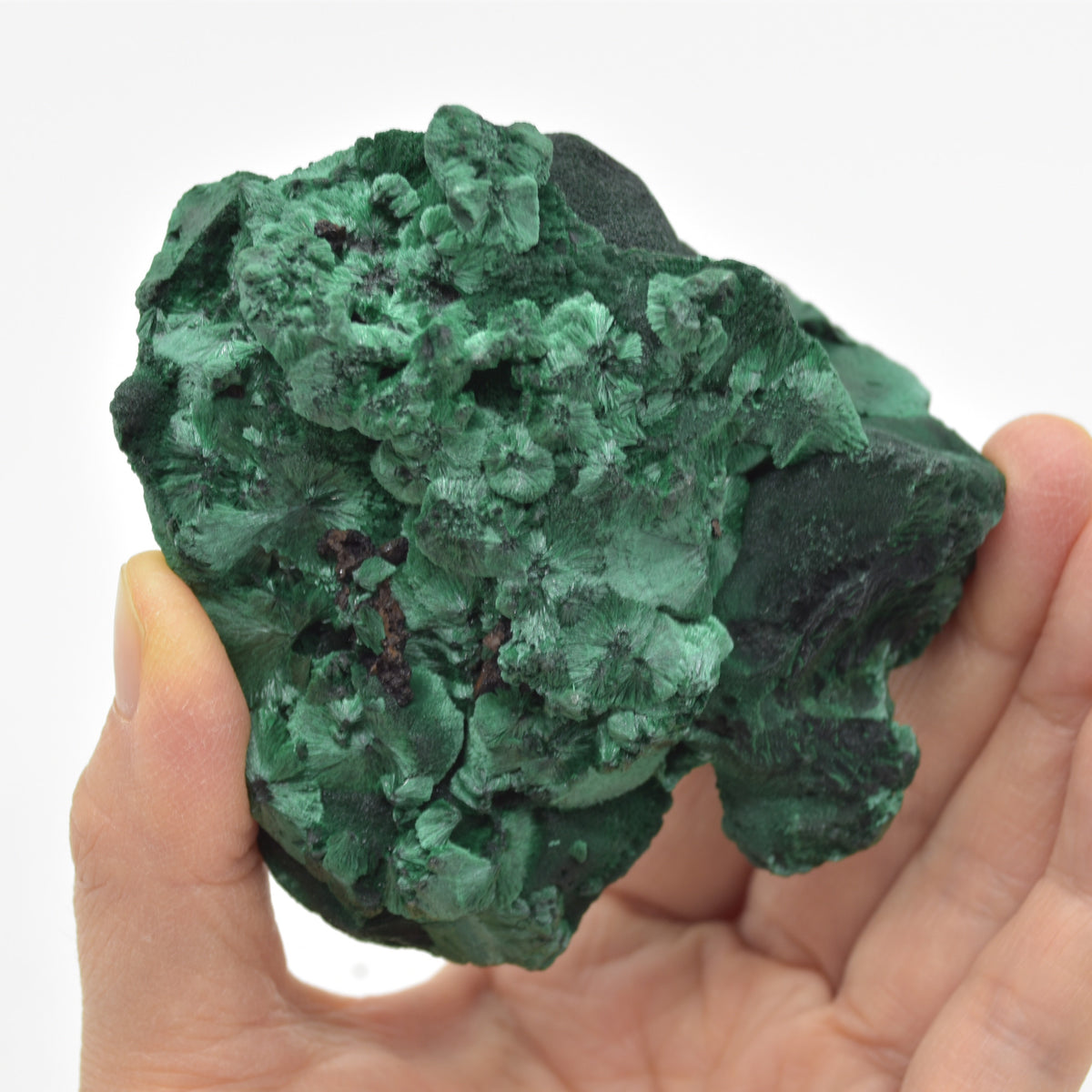 Yangchun Malachite Specimen - Botryoidal Malachite - Velvet Malachite - High Quality - 403 grams #06