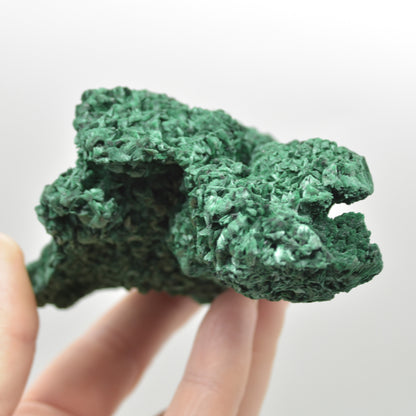 Yangchun Malachite Specimen - Botryoidal Malachite - Velvet Malachite - Fibrous Malachite - 366 grams #11