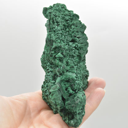 Yangchun Malachite Specimen - Botryoidal Malachite - Velvet Malachite - Fibrous Malachite - 366 grams #11
