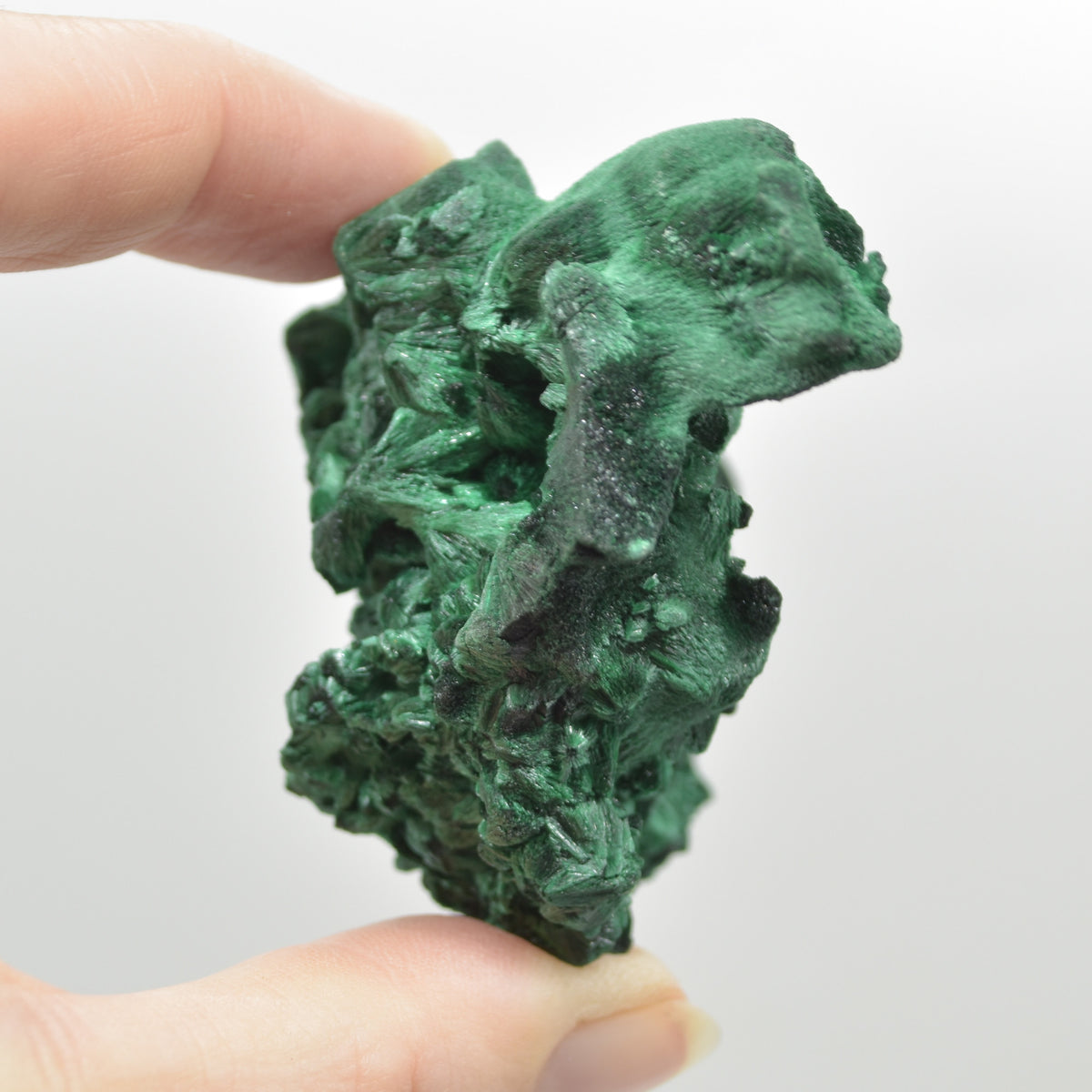 Raw Yangchun Malachite Specimen - Botryoidal Malachite - Velvet Malachite - Fibrous Malachite - 145 grams #23