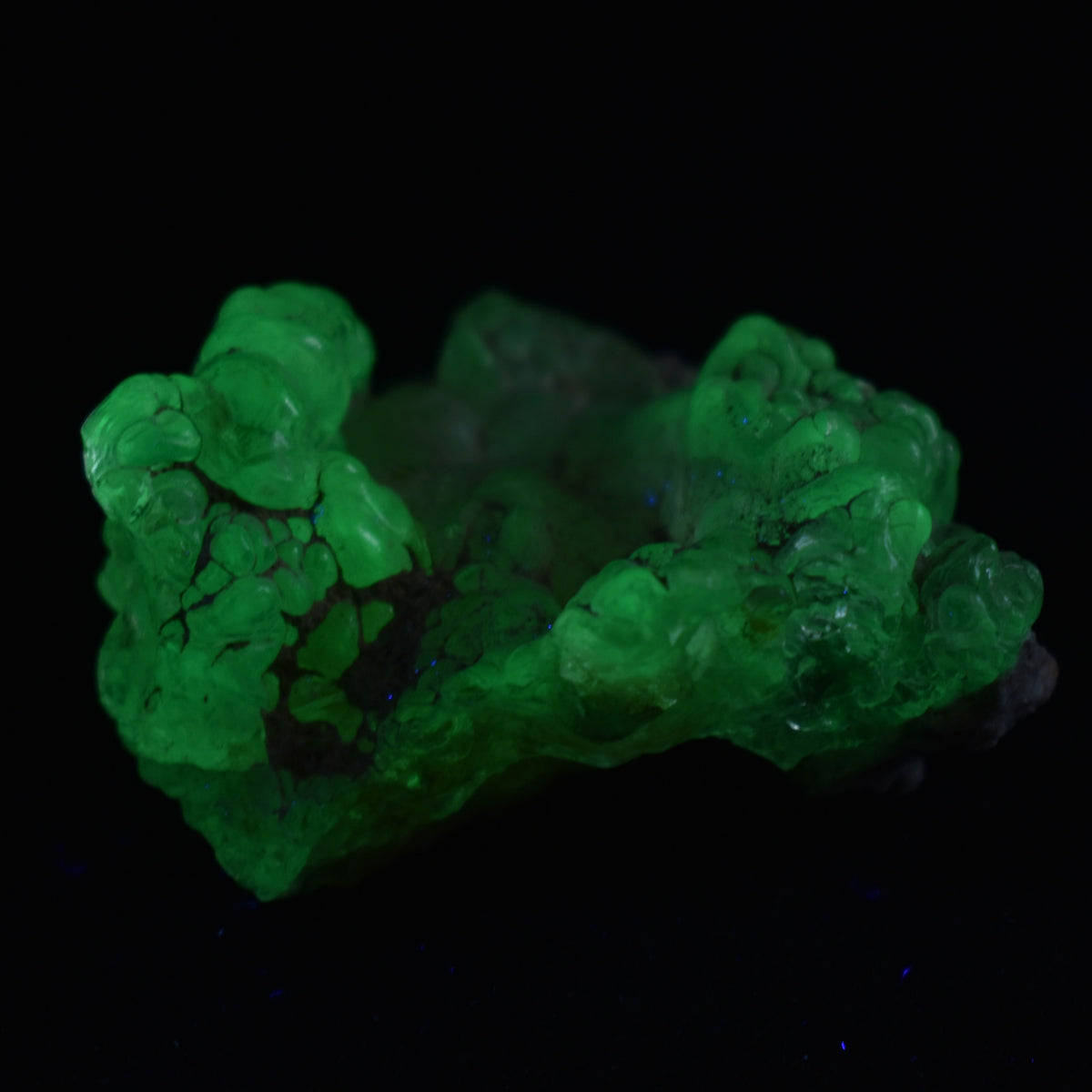 Mexican Hyalite Opal Collector Grade Specimen Stone - UV Reactive Fluorescent - 24 grams #16