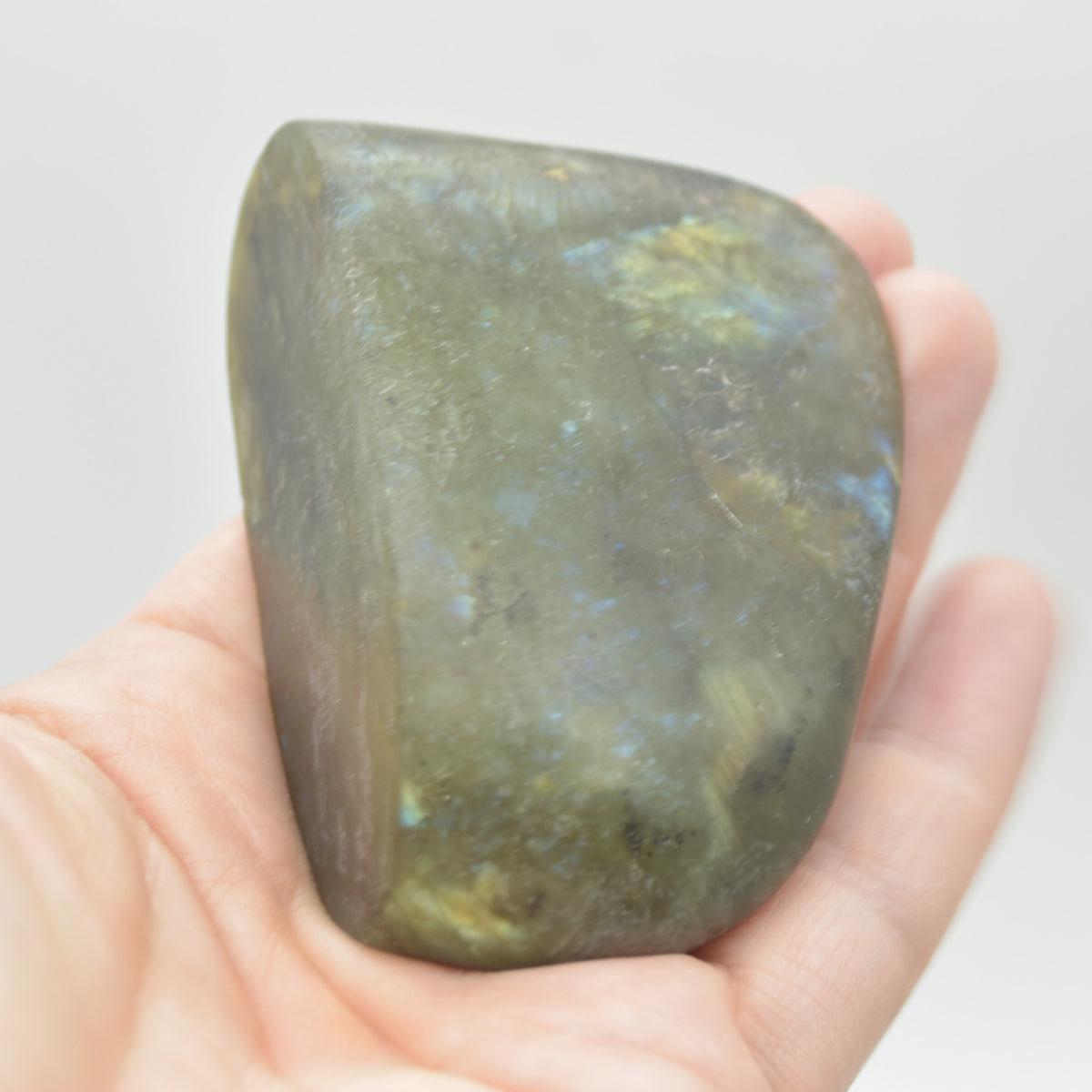 Labradorite Crystal Carving Ladybird Bug on Rock - 140 grams - #04