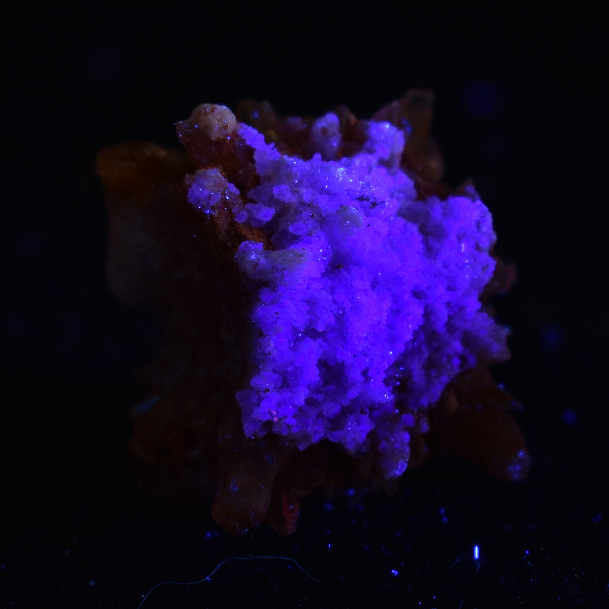 Creedite Crystal Cluster Specimen with Fluorite and Gearksutite from Navidad Mine, Durango Mexico - 15.4 grams #03