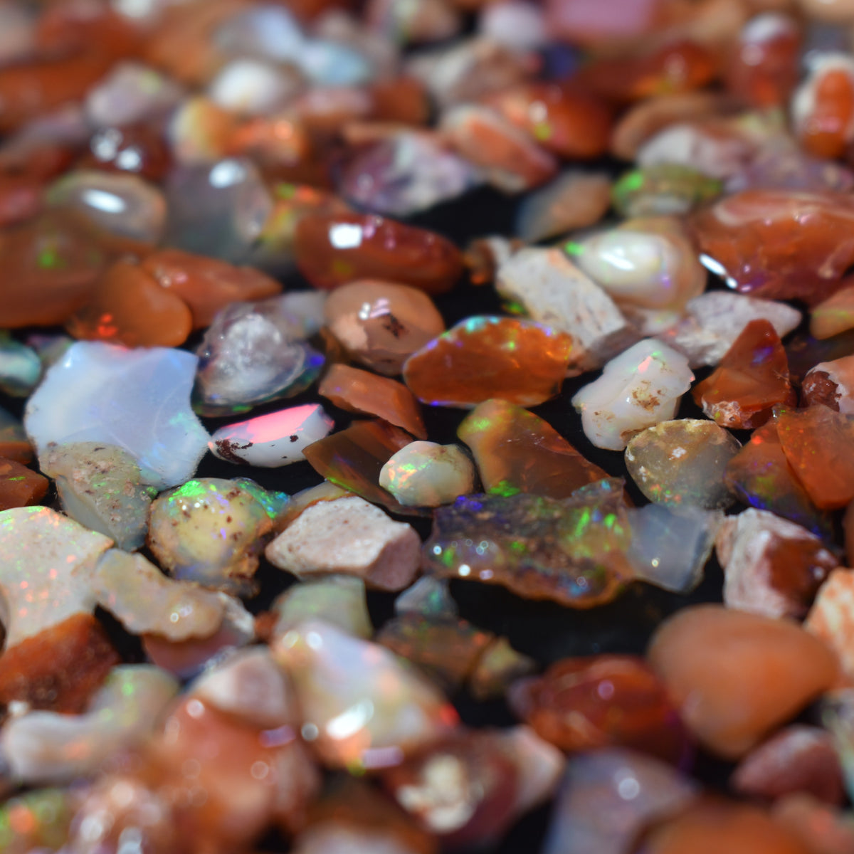 Top Grade Mexican Rough Fire Opal Specimen Chips / Stones - 10, 20 or 50 carats