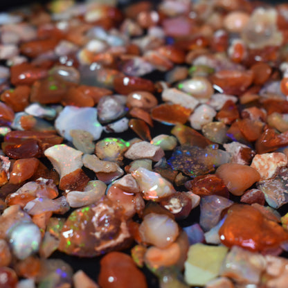 Top Grade Mexican Rough Fire Opal Specimen Chips / Stones - 10, 20 or 50 carats