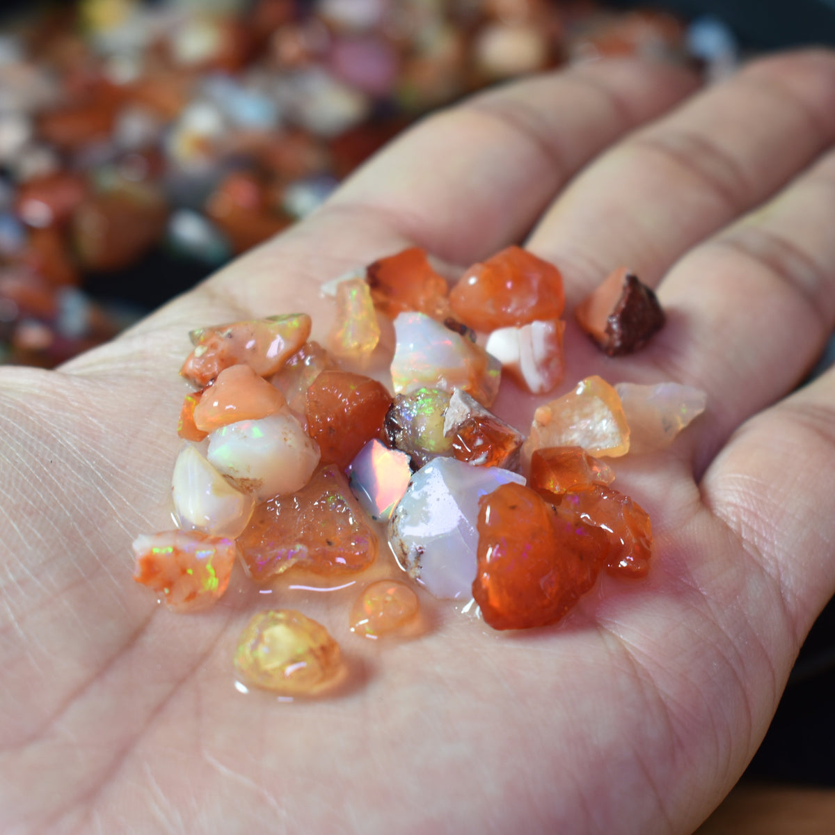 Top Grade Mexican Rough Fire Opal Specimen Chips / Stones - 10, 20 or 50 carats