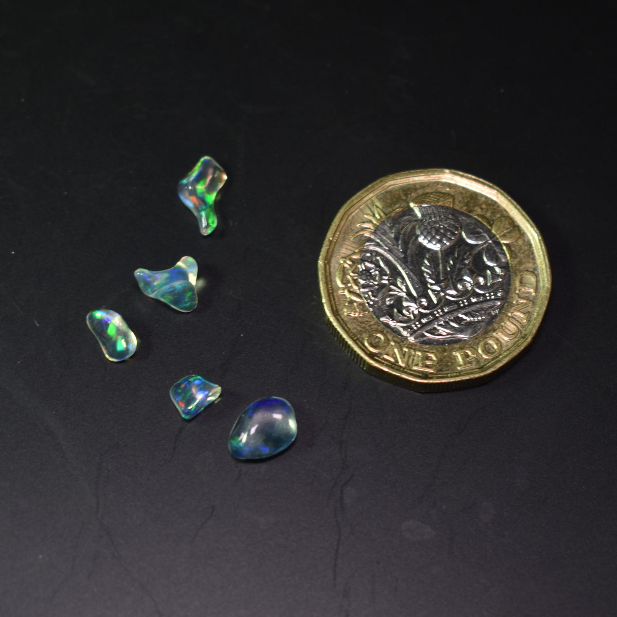 Mexican Polished Fire Contraluz Opal Chips, Stones - 5 Count - 2.1ct - #16