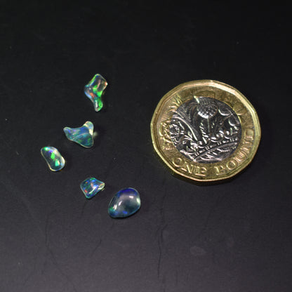 Mexican Polished Fire Contraluz Opal Chips, Stones - 5 Count - 2.1ct - #16