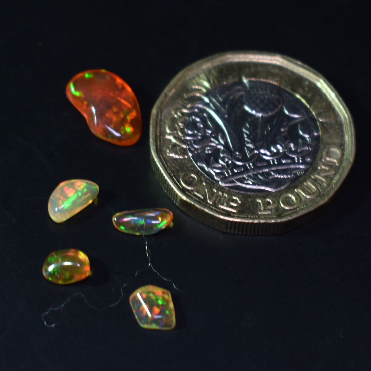Mexican Polished Fire Contraluz Opal Chips, Stones - 5 Count - 2.1ct - #17