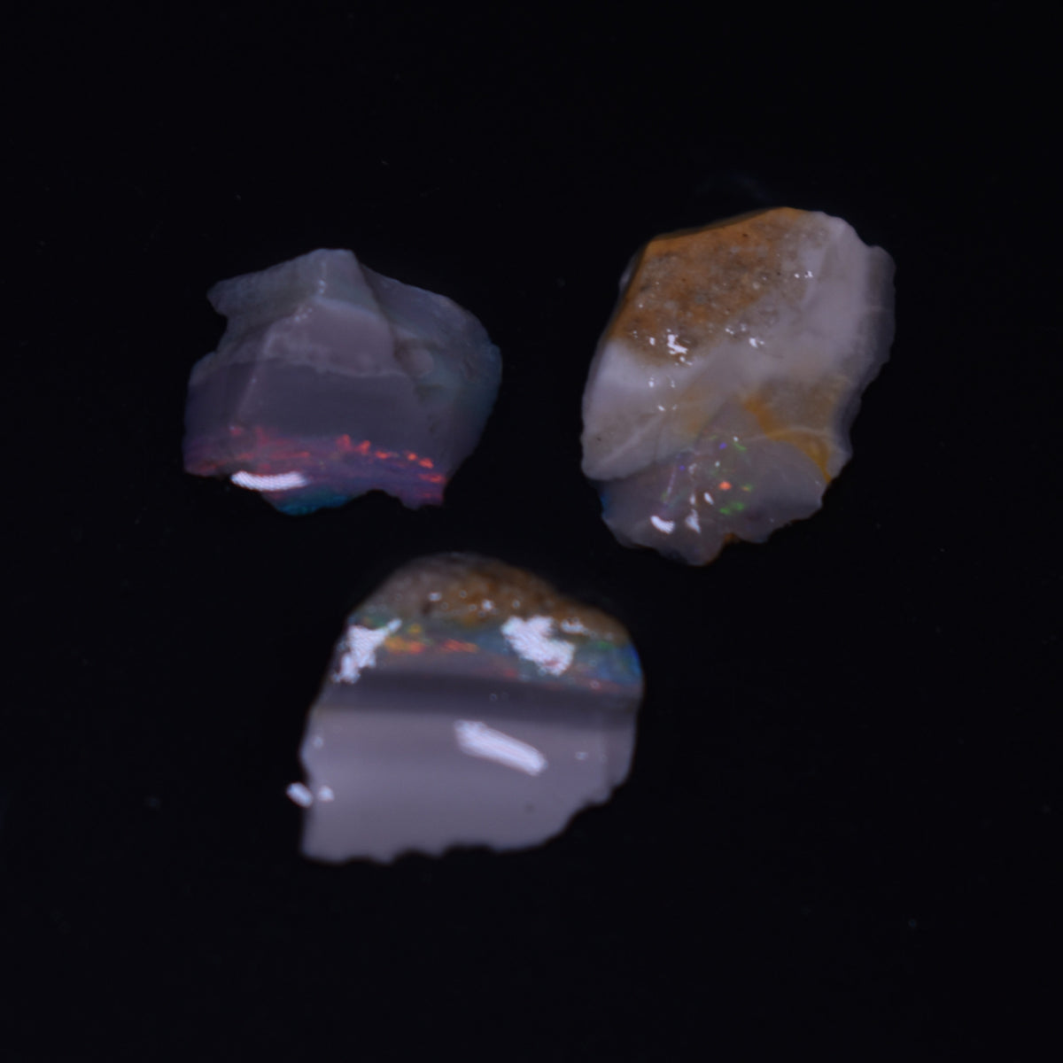 Mintabie Black Raw Rough Opals - 3 Count - Specimen from South Australia, 9.7ct weight #39