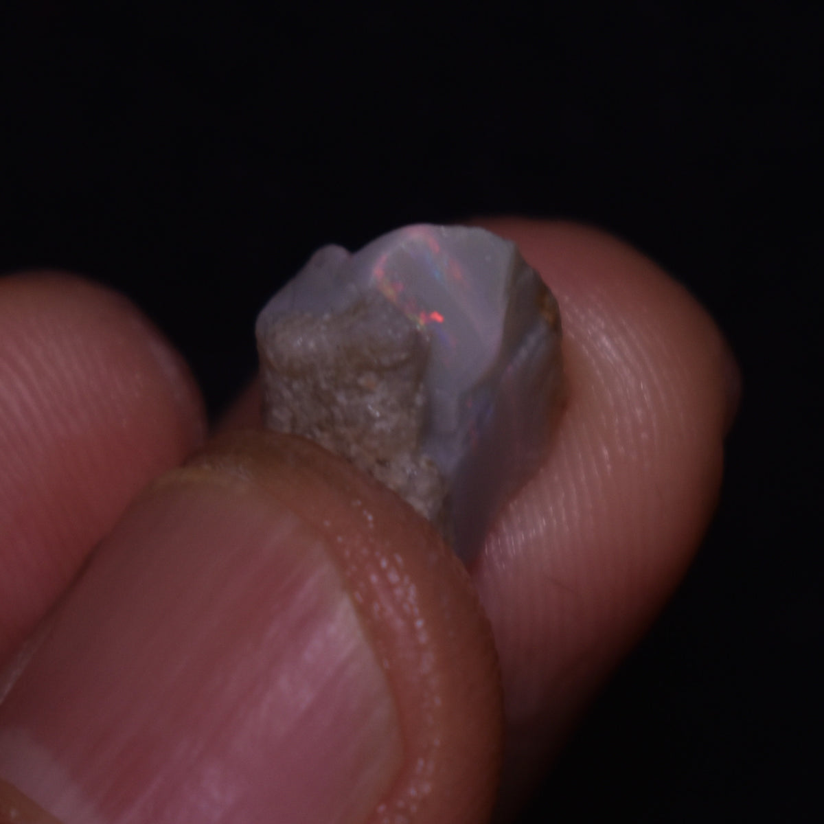 Mintabie Semi-Black Raw Rough Opals - 3 Count - Specimen from South Australia, 22.75ct weight #42