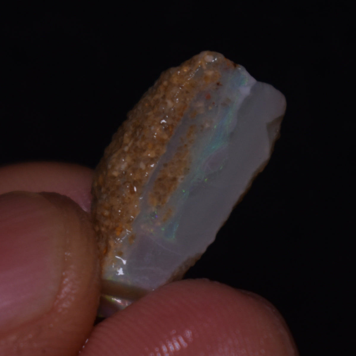 Mintabie Semi-Black Raw Rough Opals - 3 Count - Specimen from South Australia, 22.75ct weight #42