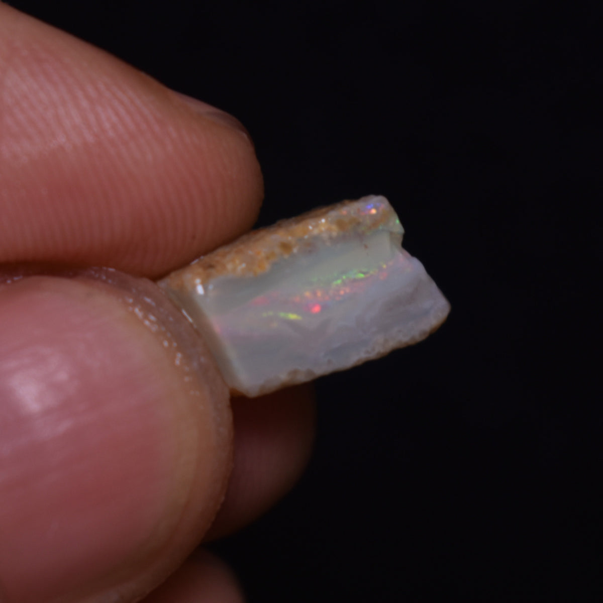 Mintabie Semi-Black Raw Rough Opals - 3 Count - Specimen from South Australia, 20.25ct weight #44
