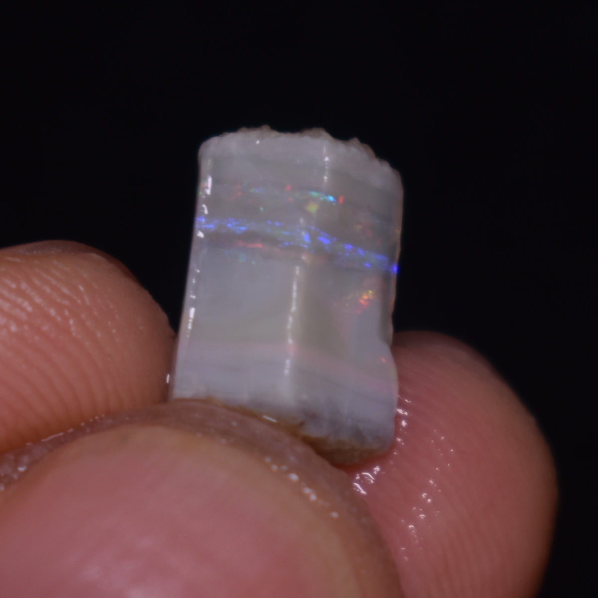 Mintabie Semi-Black Raw Rough Opals - 3 Count - Specimen from South Australia, 20.25ct weight #44